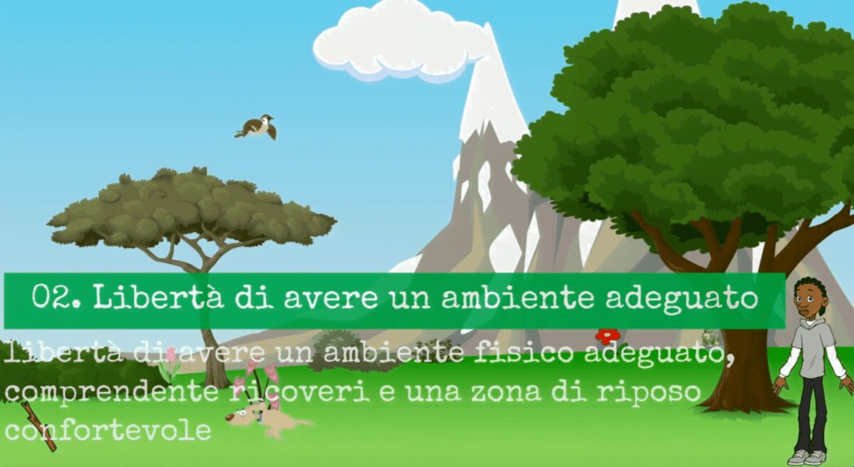 le cinque libertà dell'animale