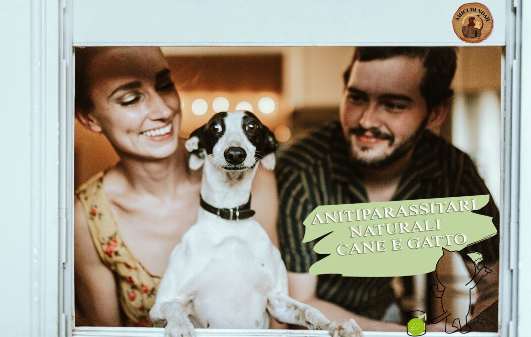 antiparassitari-naturali