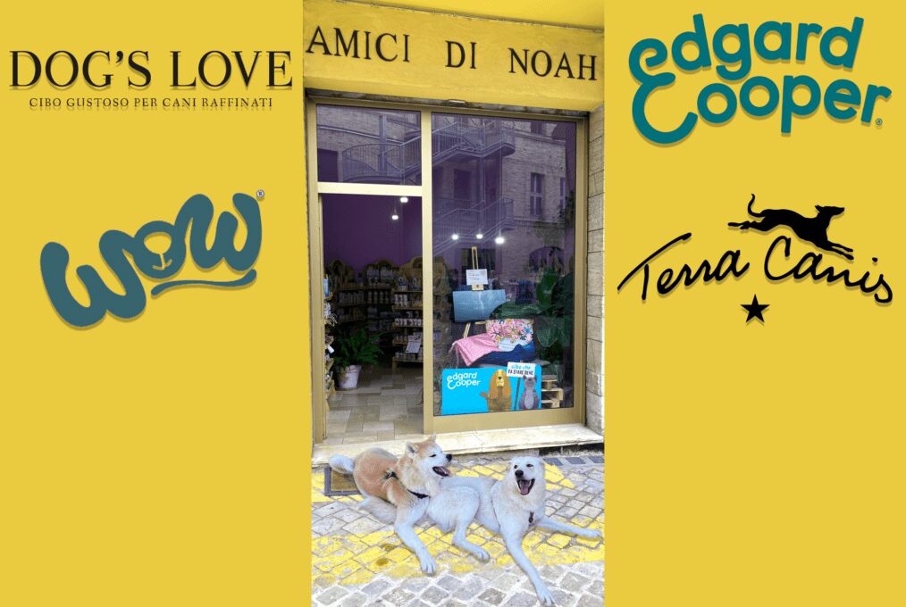 la scelta delle crocchette