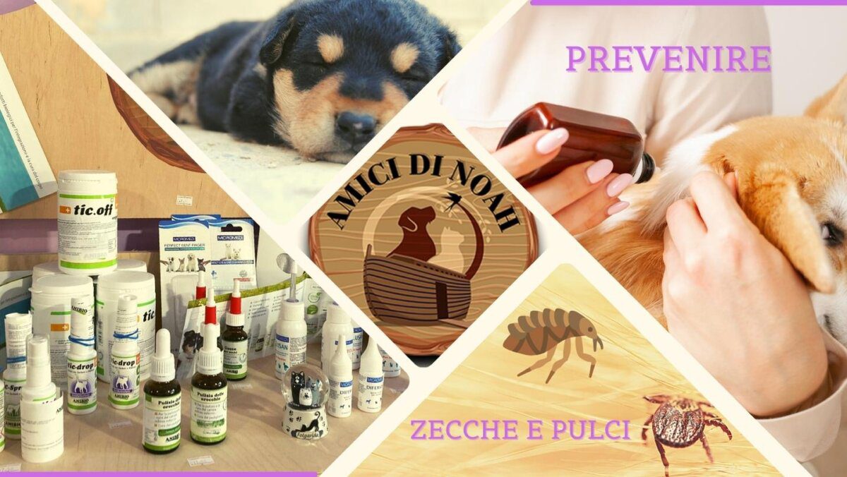 Come prevenire pulci e zecche