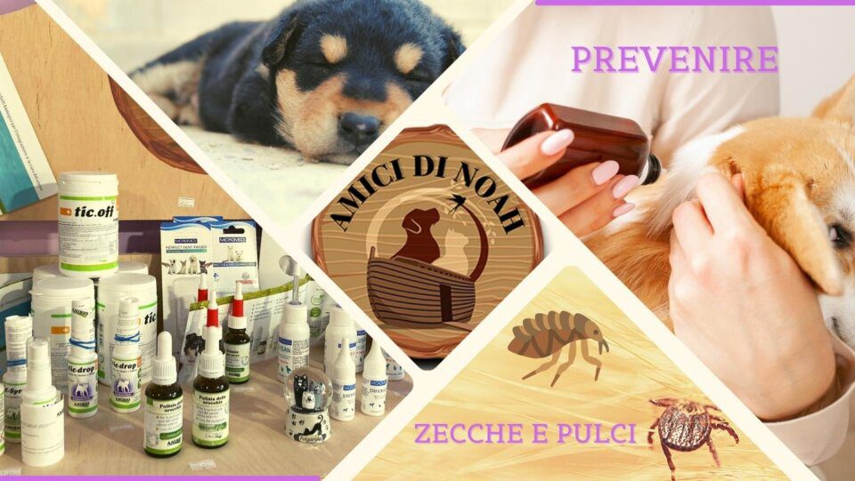 Come prevenire pulci e zecche